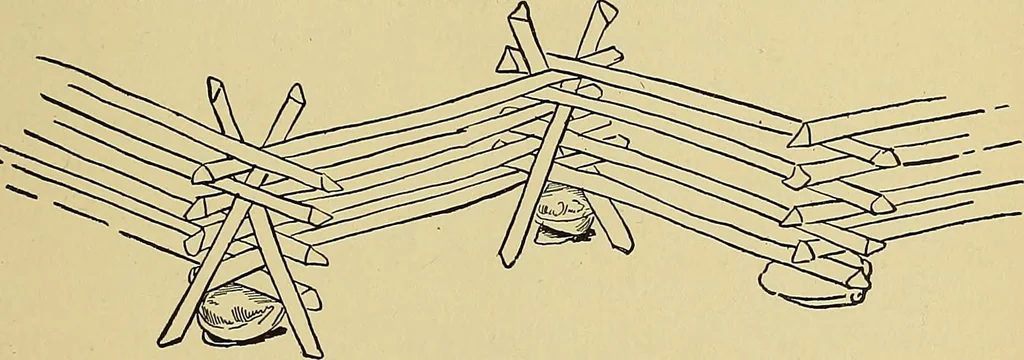 An illustration from New ideas for work and play; what a girl can make and do, 1902, leaf 252