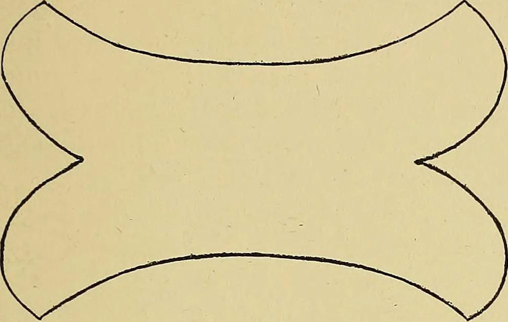 An illustration from New ideas for work and play; what a girl can make and do, 1902, leaf 254