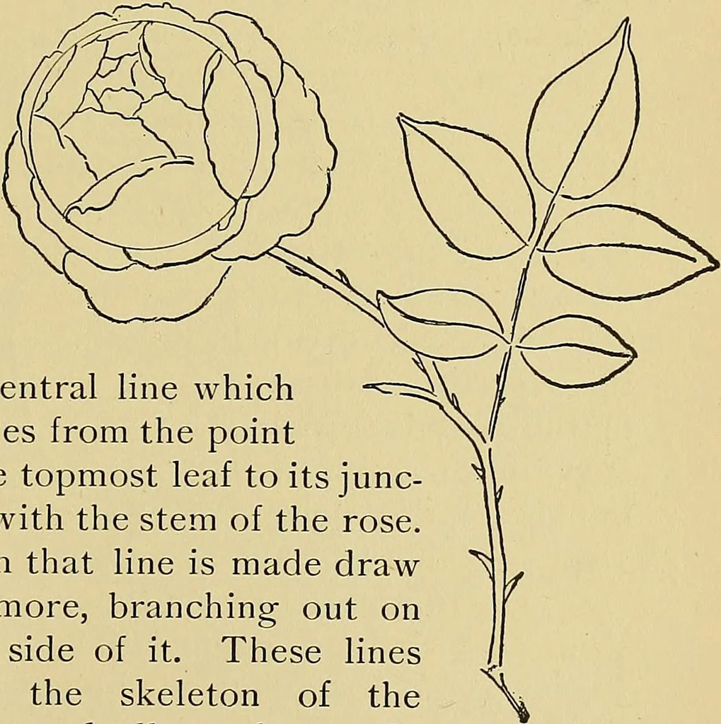 An illustration from New ideas for work and play; what a girl can make and do, 1902, leaf 262
