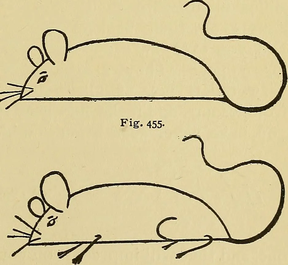 An illustration from New ideas for work and play; what a girl can make and do, 1902, leaf 264