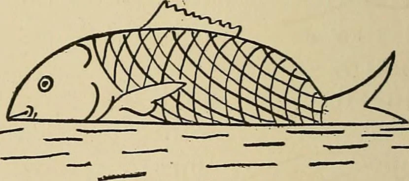 An illustration from New ideas for work and play; what a girl can make and do, 1902, leaf 265