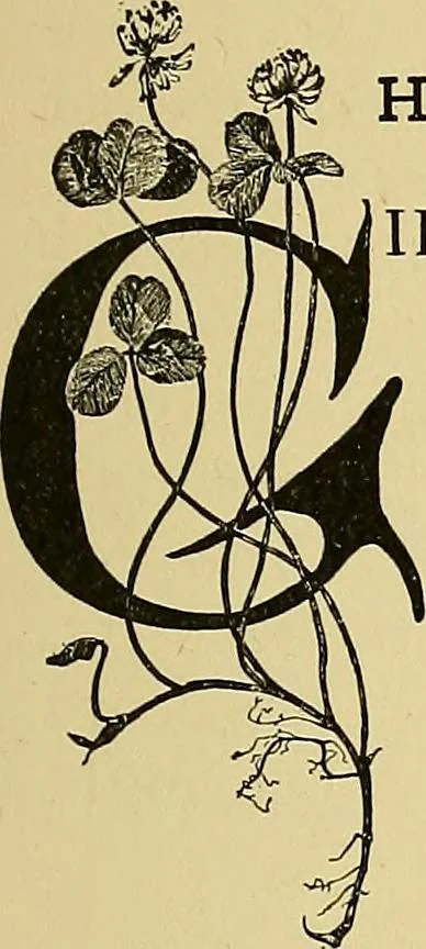 An illustration from New ideas for work and play; what a girl can make and do, 1902, leaf 270