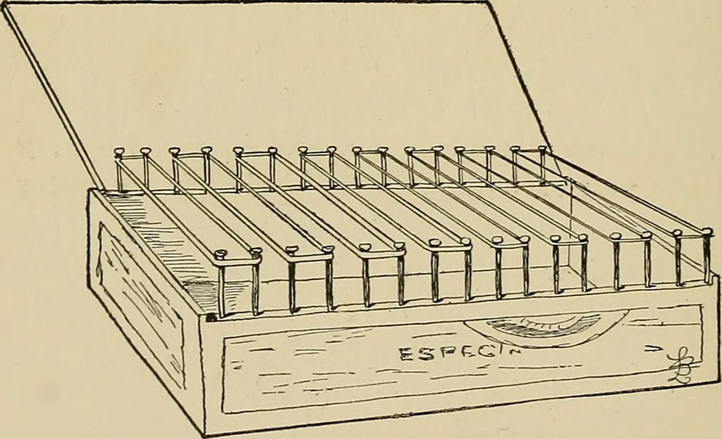 An illustration from New ideas for work and play; what a girl can make and do, 1902, leaf 271