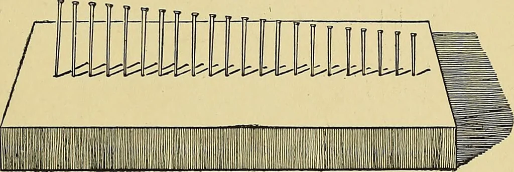 An illustration from New ideas for work and play; what a girl can make and do, 1902, leaf 272