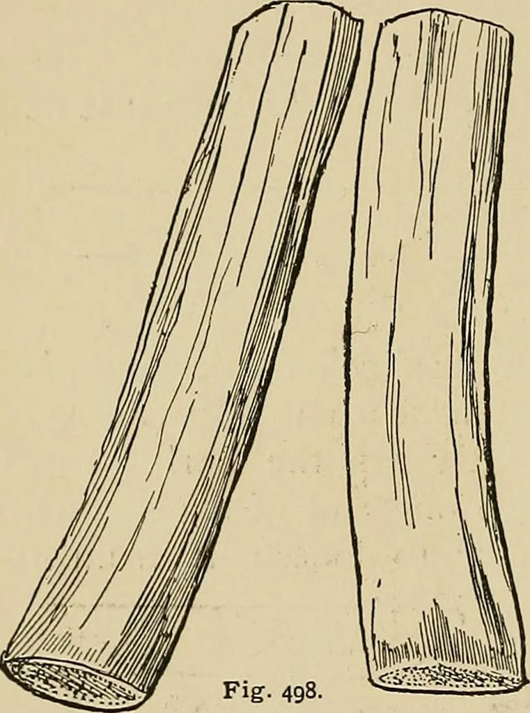 An illustration from New ideas for work and play; what a girl can make and do, 1902, leaf 275