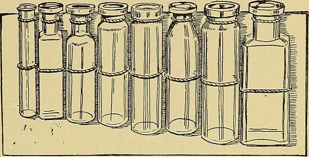 An illustration from New ideas for work and play; what a girl can make and do, 1902, leaf 278