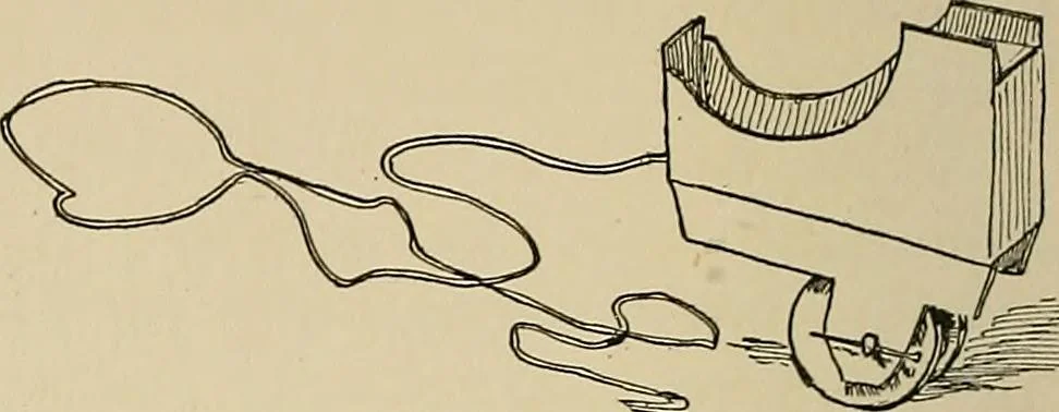 An illustration from New ideas for work and play; what a girl can make and do, 1902, leaf 285