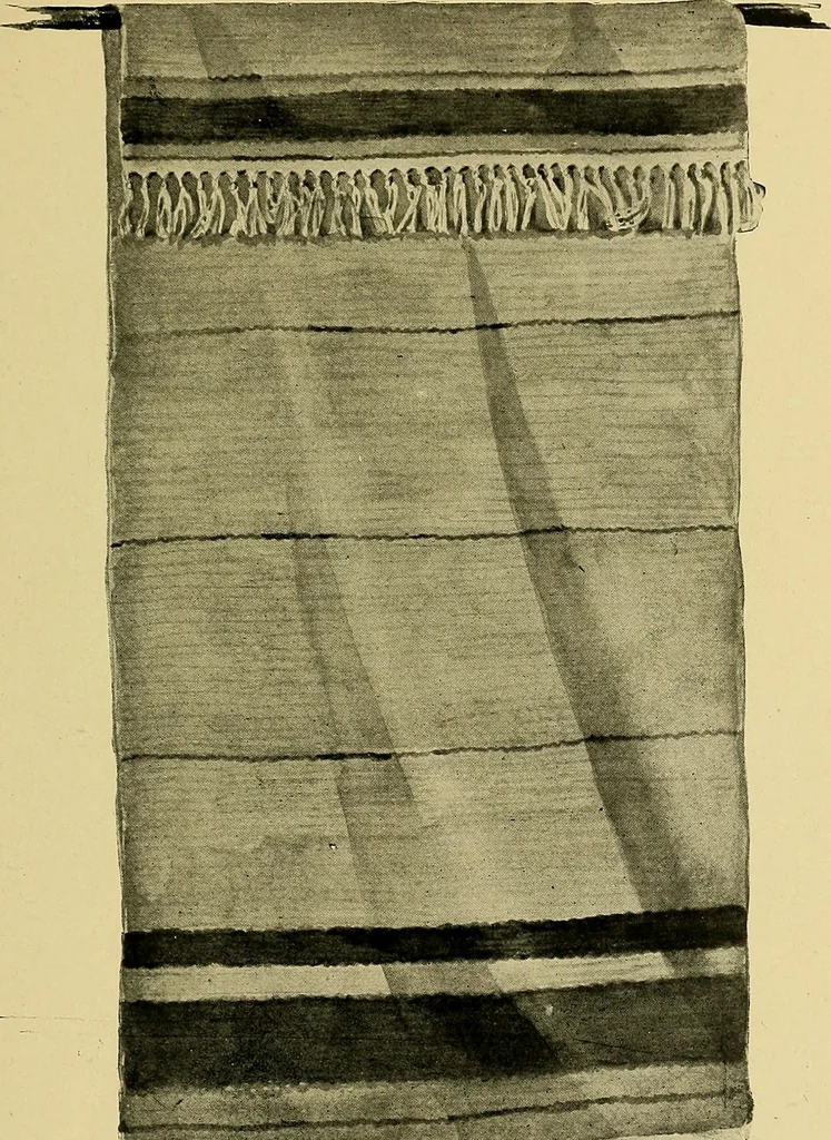 An illustration from New ideas for work and play; what a girl can make and do, 1902, leaf 290