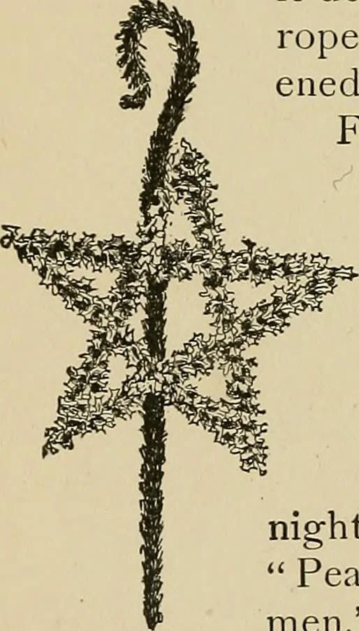An illustration from New ideas for work and play; what a girl can make and do, 1902, leaf 293