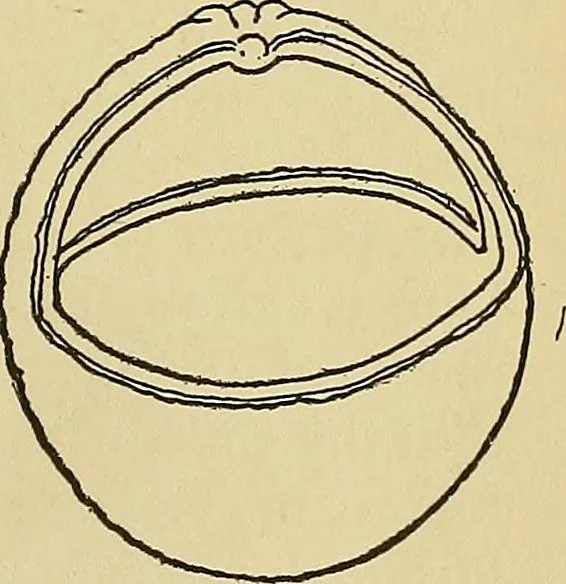 An illustration from New ideas for work and play; what a girl can make and do, 1902, leaf 300