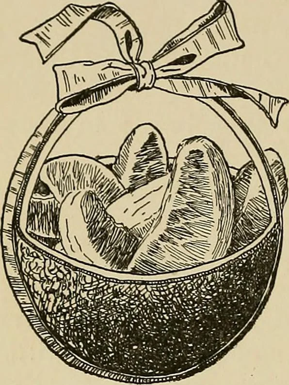 An illustration from New ideas for work and play; what a girl can make and do, 1902, leaf 301
