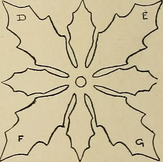 An illustration from New ideas for work and play; what a girl can make and do, 1902, leaf 303