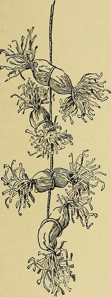 An illustration from New ideas for work and play; what a girl can make and do, 1902, leaf 306