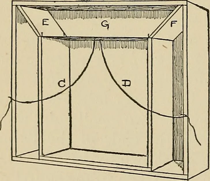 An illustration from New ideas for work and play; what a girl can make and do, 1902, leaf 313