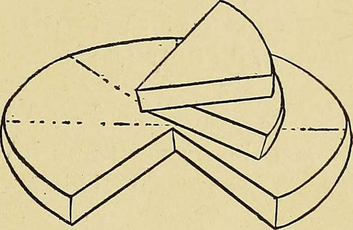 An illustration from New ideas for work and play; what a girl can make and do, 1902, leaf 316