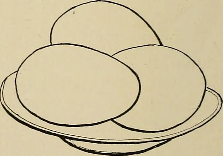 An illustration from New ideas for work and play; what a girl can make and do, 1902, leaf 317
