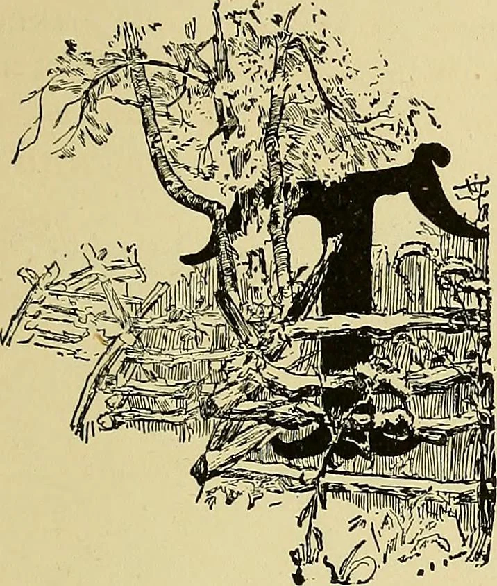 An illustration from New ideas for work and play; what a girl can make and do, 1902, leaf 320