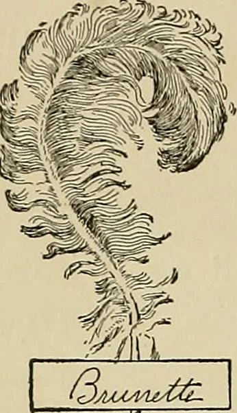 An illustration from New ideas for work and play; what a girl can make and do, 1902, leaf 343