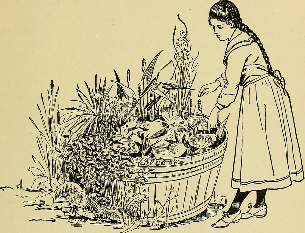 An illustration from New ideas for work and play; what a girl can make and do, 1902, leaf 364