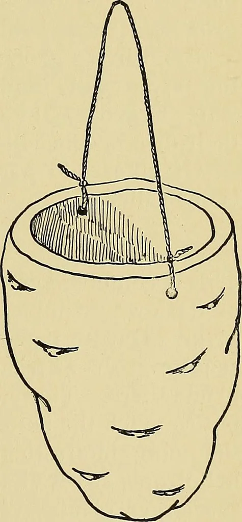 An illustration from New ideas for work and play; what a girl can make and do, 1902, leaf 368