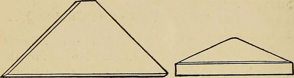 An illustration from New ideas for work and play; what a girl can make and do, 1902, leaf 37