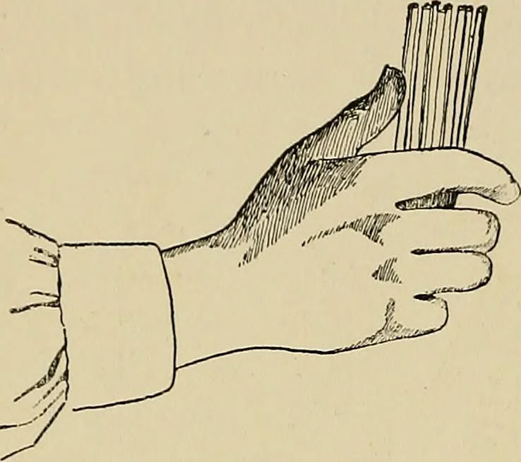 An illustration from New ideas for work and play; what a girl can make and do, 1902, leaf 379