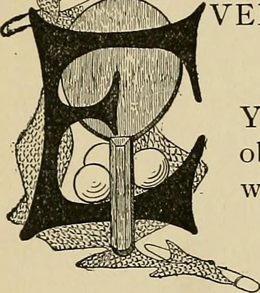 An illustration from New ideas for work and play; what a girl can make and do, 1902, leaf 383