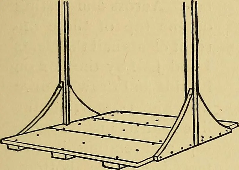 An illustration from New ideas for work and play; what a girl can make and do, 1902, leaf 42