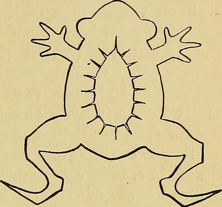 An illustration from New ideas for work and play; what a girl can make and do, 1902, leaf 48