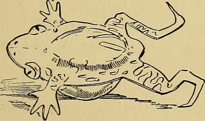 An illustration from New ideas for work and play; what a girl can make and do, 1902, leaf 48