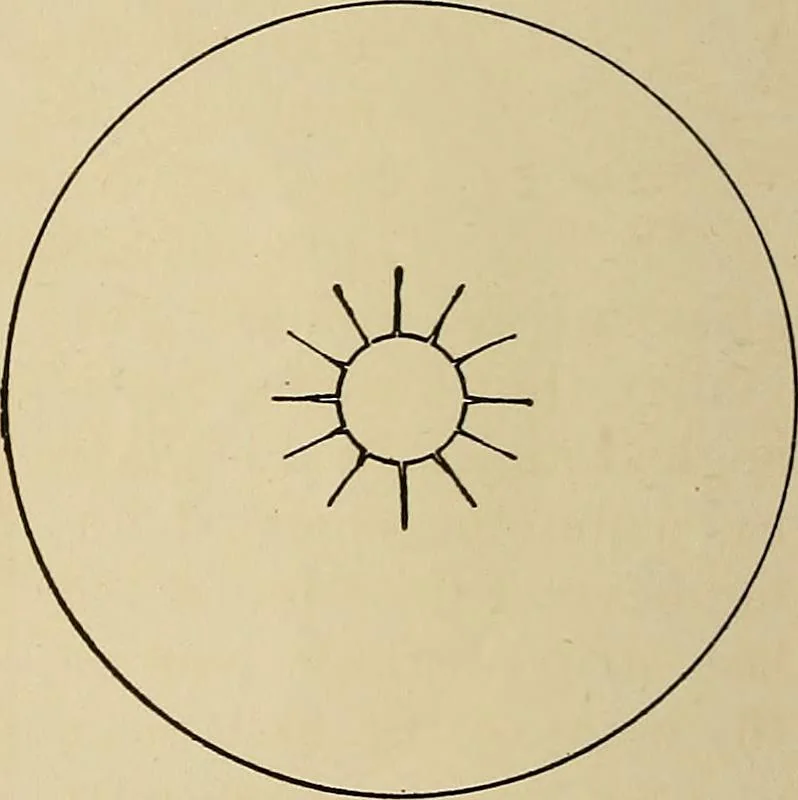 An illustration from New ideas for work and play; what a girl can make and do, 1902, leaf 51