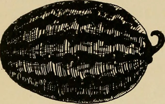 An illustration from New ideas for work and play; what a girl can make and do, 1902, leaf 59