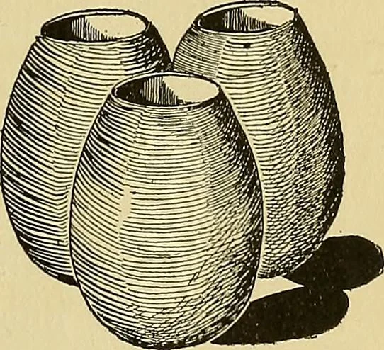 An illustration from New ideas for work and play; what a girl can make and do, 1902, leaf 60