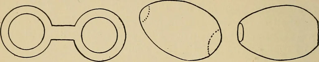 An illustration from New ideas for work and play; what a girl can make and do, 1902, leaf 63