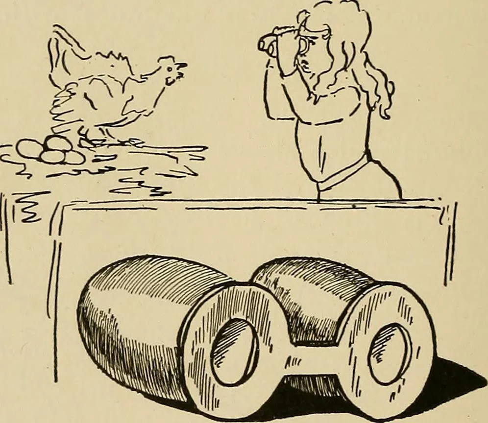 An illustration from New ideas for work and play; what a girl can make and do, 1902, leaf 63