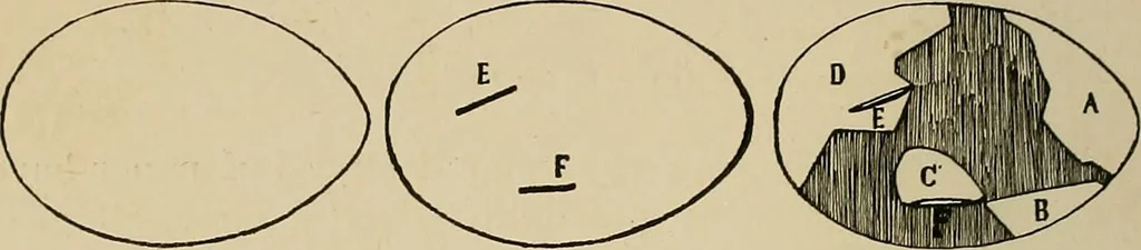 An illustration from New ideas for work and play; what a girl can make and do, 1902, leaf 67
