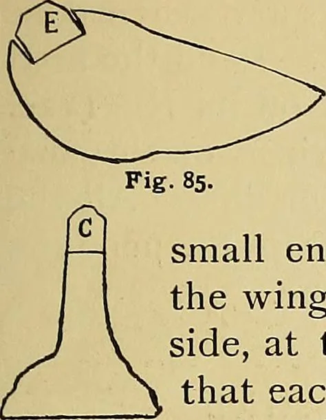 An illustration from New ideas for work and play; what a girl can make and do, 1902, leaf 68