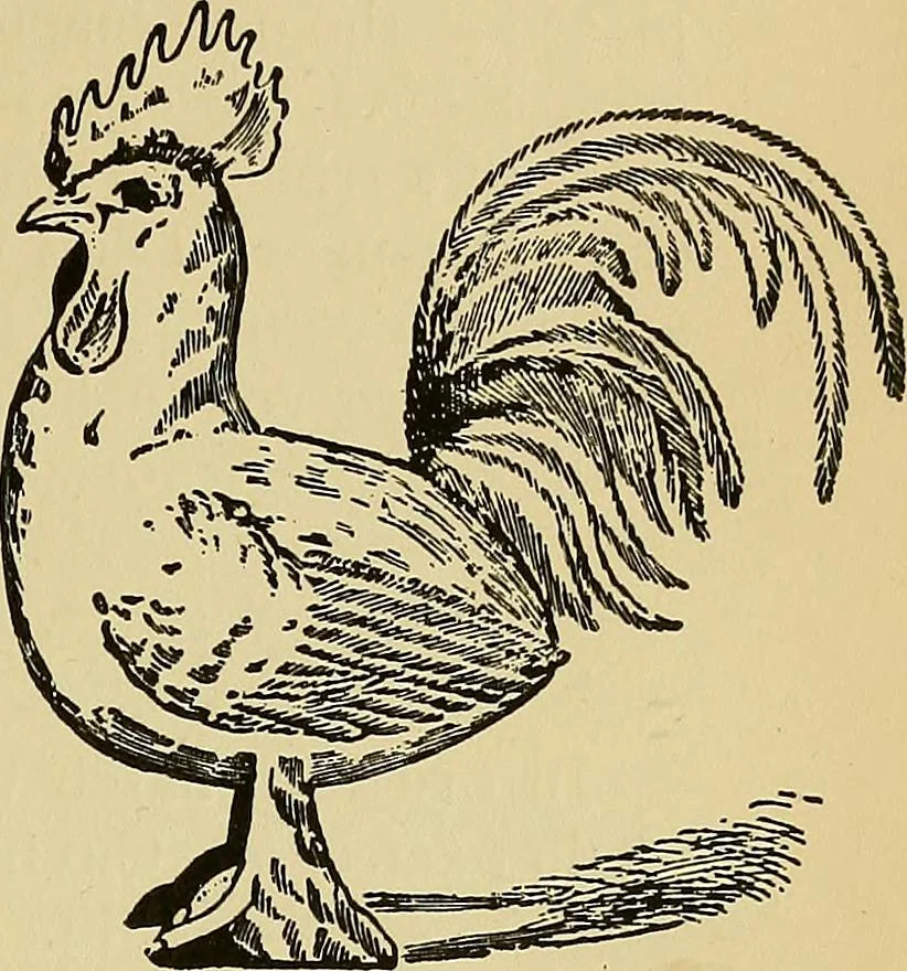 An illustration from New ideas for work and play; what a girl can make and do, 1902, leaf 68