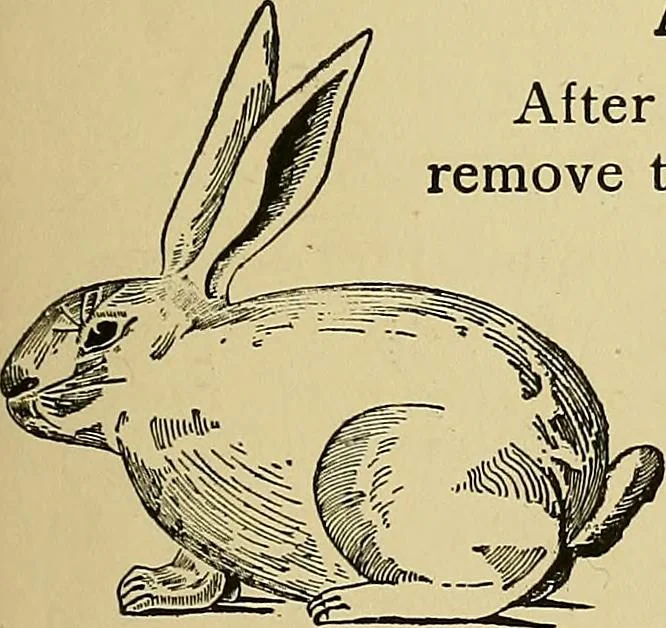 An illustration from New ideas for work and play; what a girl can make and do, 1902, leaf 68