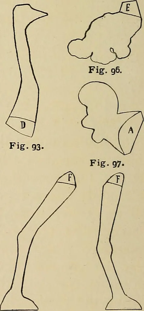 An illustration from New ideas for work and play; what a girl can make and do, 1902, leaf 69