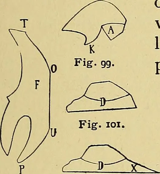 An illustration from New ideas for work and play; what a girl can make and do, 1902, leaf 70