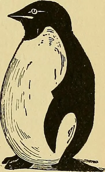 An illustration from New ideas for work and play; what a girl can make and do, 1902, leaf 70