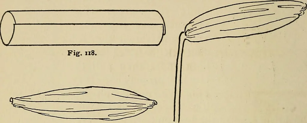 An illustration from New ideas for work and play; what a girl can make and do, 1902, leaf 77