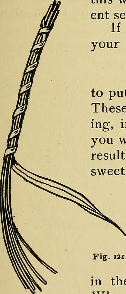 An illustration from New ideas for work and play; what a girl can make and do, 1902, leaf 80