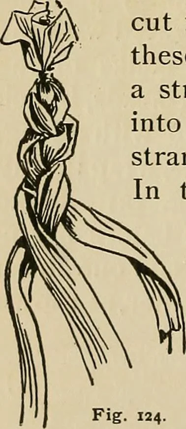 An illustration from New ideas for work and play; what a girl can make and do, 1902, leaf 81