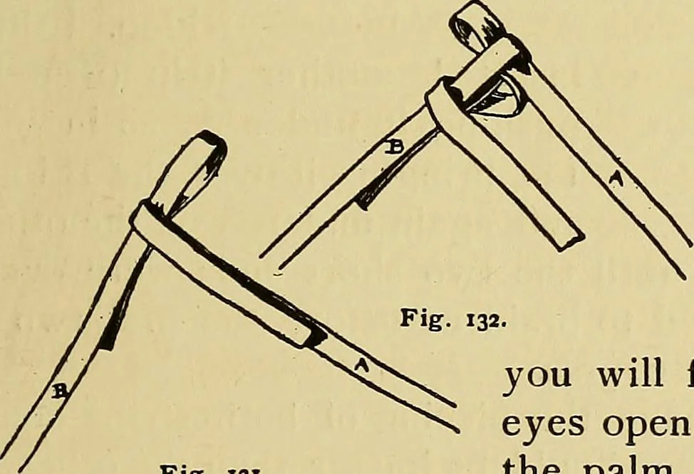 An illustration from New ideas for work and play; what a girl can make and do, 1902, leaf 86