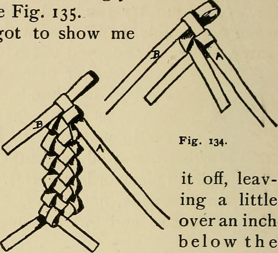 An illustration from New ideas for work and play; what a girl can make and do, 1902, leaf 87