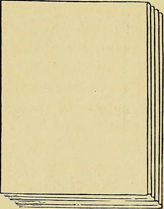 An illustration from New ideas for work and play; what a girl can make and do, 1902, leaf 96
