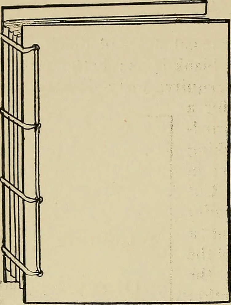 An illustration from New ideas for work and play; what a girl can make and do, 1902, leaf 97
