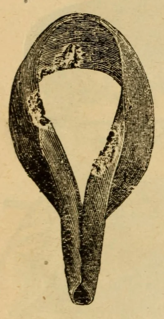An illustration from New ideas in magic : illusions, spiritualistic effects, etc., 1902, leaf 96